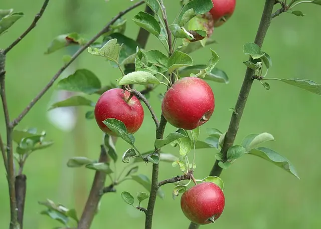 Najlepsze kosmetyki naturalne - przewodnik zakupowy 2026