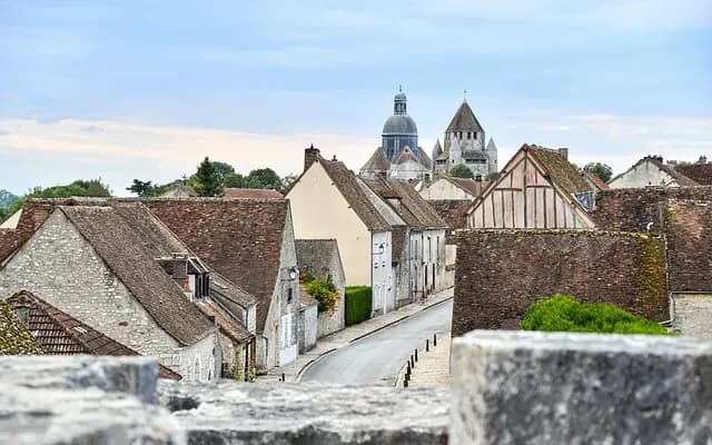 Guide d'achat : Entretien de serre pour abris performants